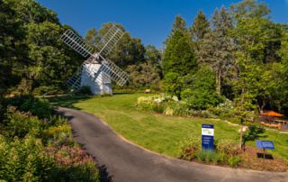 Windmill at Heritage