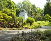 McGraw Garden of the Senses Opening