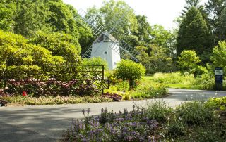 McGraw Garden of the Senses Opening