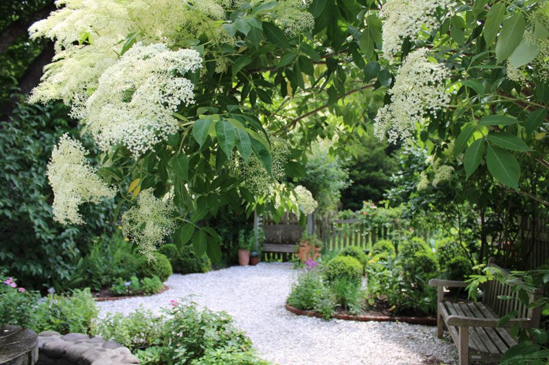 Herb Garden