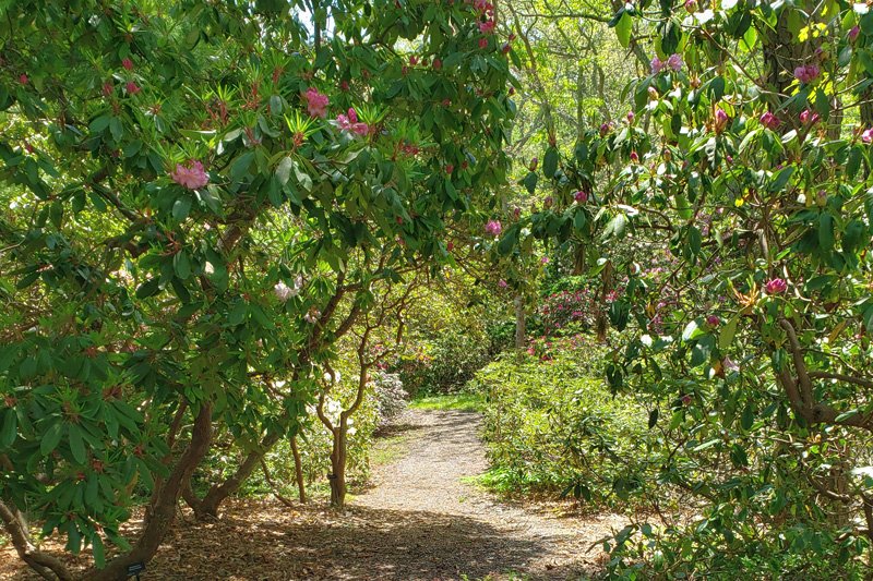 Nature Trails in Cape Cod