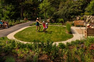 Garden of the senses