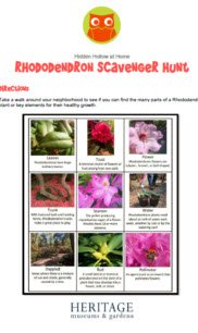 Rhodie Scavenger Hunt