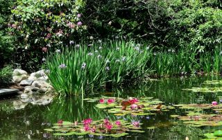 Flume Fountain pond