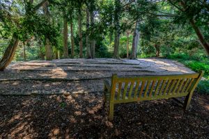 Tribute Bench