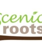 Scenic Roots