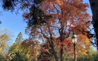 2020_PHOTOS_HMG_IrisClearwater (289)