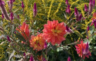 2022_PHOTOS_HMG_IClearwater (132)