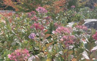 2022_PHOTOS_HMG_IClearwater (4)