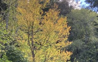 2023_PHOTOS_HMG_IClearwater (125)