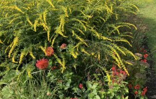 2023_PHOTOS_HMG_IClearwater (148)