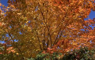 2024_PHOTOS_HMG_IClearwater (276)