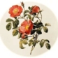 Garden Club of Hyannis